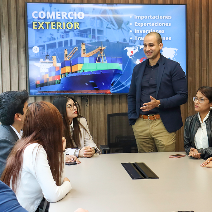 Technical and Legal Consulting