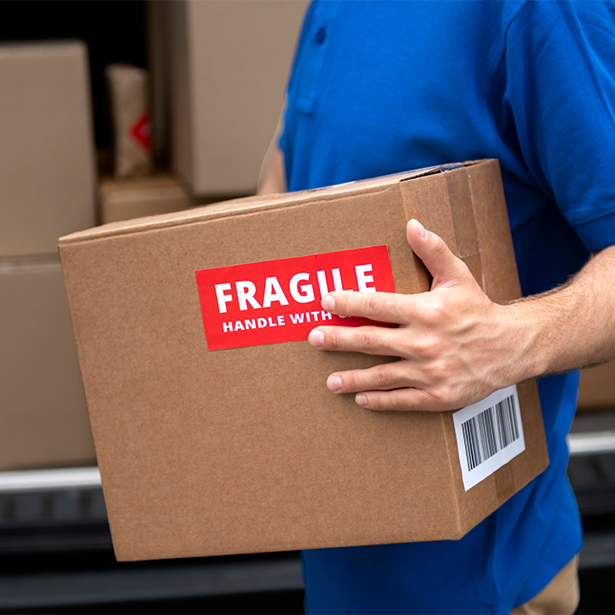 International Cargo Insurance